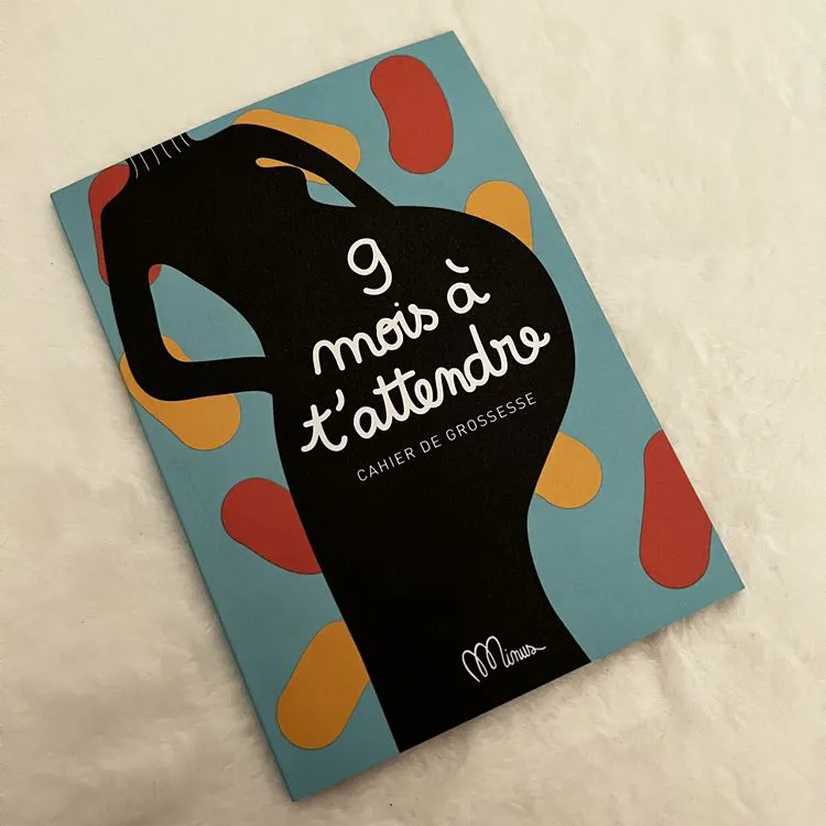 9 mois à t'attendre